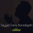 Seyyid Fariq Boradigahi