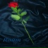 Rайт
