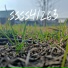 ssss41263