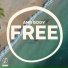 Amr Bogy