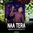 Husnain Raza