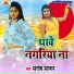 Santosh Sajan feat. Krishna Nidardi