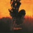 Tides From Nebula