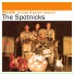Spotnicks