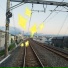 arash