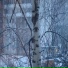 Литейный проспект