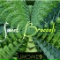 UNOME9