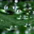 Naturaleza, Meditaciónessa, Dulces Sueños