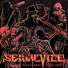 Serial Vice