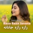 Said Meer