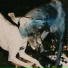 zathmi