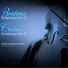 Houston Symphony Orchestra
