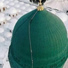 Qari Rizwan Ullah