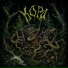 Кора