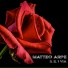 Matteo Arpe
