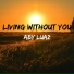 Aby Luaz, Lks On The Beat