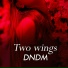 DNDM
