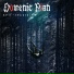 Domenic Pian