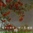 喵步小雨中