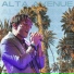 Alta Avenue