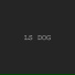 LS Dog
