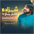 Rehan Niazi