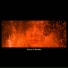 Bertrand Bonello