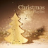 Christmas Eve Carols Academy