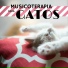 Musicoterapia Animales Academy