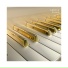 Piano Zone