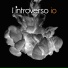 L'Introverso