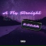 A Fly Straight
