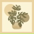 Azukori