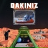 Dakiniz