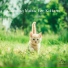 PetChords
