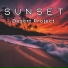 Desert Project