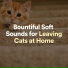Music For Cats