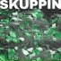 SKUPPIN feat. PAULINKO