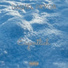 Daniel Pryor