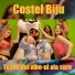 Costel Biju