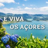 Dino Meira
