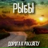 группа "РЫБЫ" Кузнецов Роман