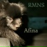 RMNS