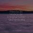 Meditação Maestro, Musica Relajante, Dormir Sol