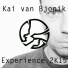 Kai van Bjonik