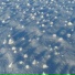 Ансея