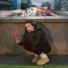 Аля