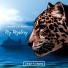 Flyo
