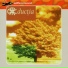 Ductia