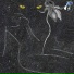 Adam Rom, AR888